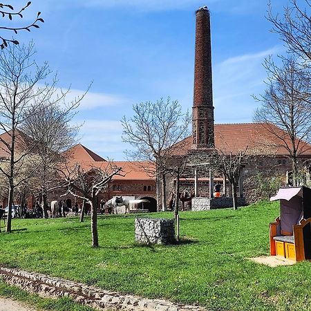 Tinyhousebeidresden 1 - Direkt Am Naturteich - Naehe Saechsische Schweiz, Dresden Großharthau المظهر الخارجي الصورة